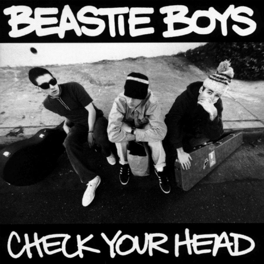 CHECK YOUR HEAD (2 LP Gatefold  / 180G )