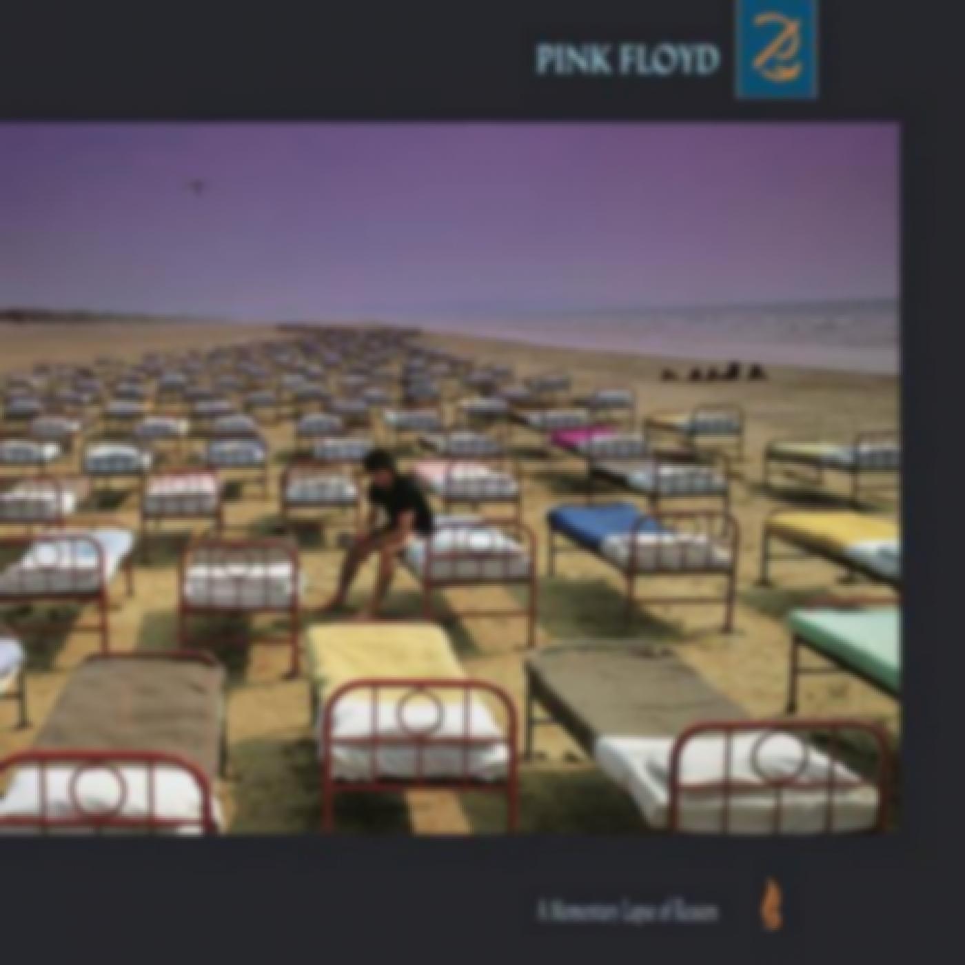 A Momentary Lapse Of Reason (180gr/Gatefold)