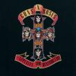 Appetite For Destruction (180g)