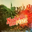 RSD2024 - Nashville Goes Fuzz