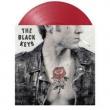 No Rain, No Flowers (Indie Exclusive Red Transparent Vinyl)