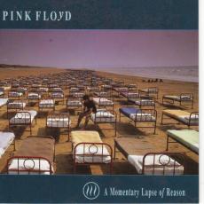 A Momentary Lapse Of Reason