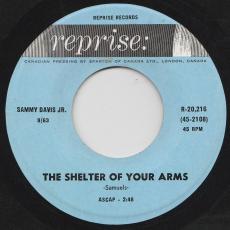 The Shelter Of Your Arms