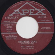Primrose Lane / By Your Side