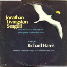 Jonathan Livingston Seagull ( Audiobook )