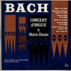 Concert D'orgue À Notre Dame ( Récital D'orgue )