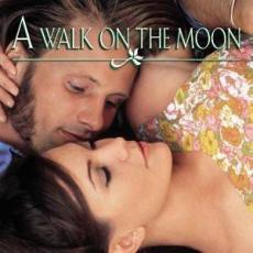 A Walk On The Moon ( Music From The Motion Picture )