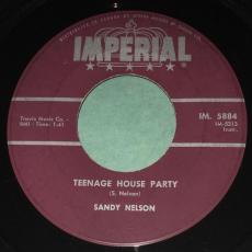 Day Train / Teenage House Party