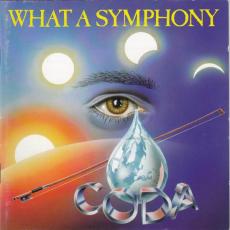 What A Symphony (2CD)