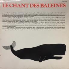 Le Chant Des Baleines