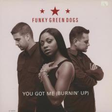 You Got Me (Burnin' Up) ( VG+/hairlines )