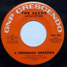 A Thousand Shadows / March Of The Flower Children