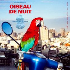 Oiseau De Nuit